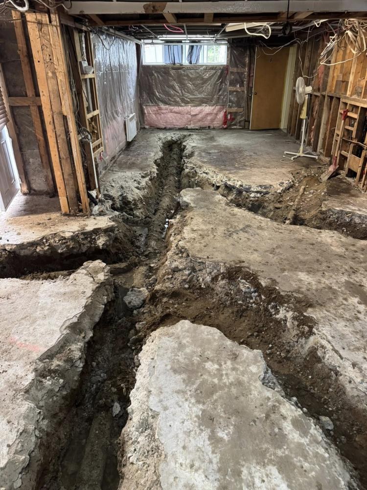 Décontamination (12)